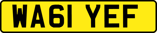 WA61YEF
