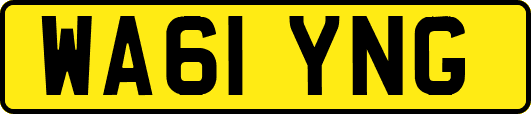WA61YNG