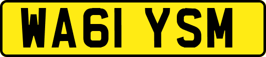WA61YSM