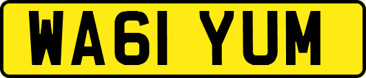 WA61YUM