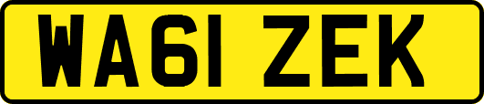 WA61ZEK