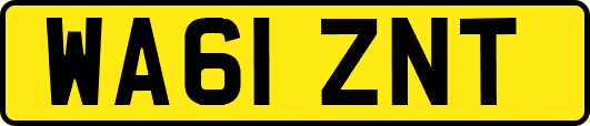 WA61ZNT