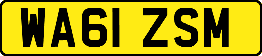 WA61ZSM