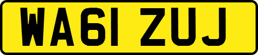 WA61ZUJ