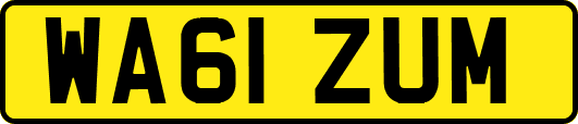 WA61ZUM