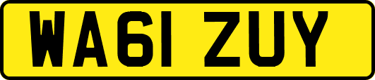 WA61ZUY
