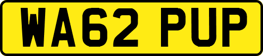 WA62PUP