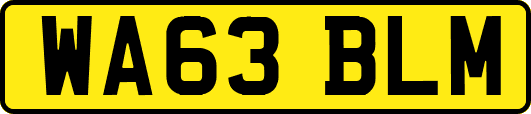 WA63BLM