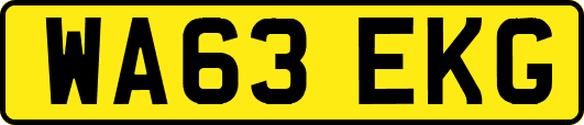 WA63EKG