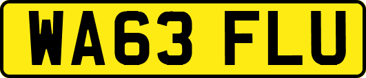 WA63FLU