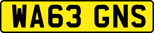 WA63GNS