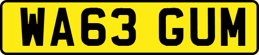 WA63GUM