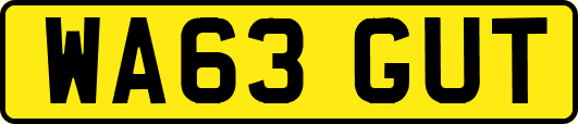 WA63GUT