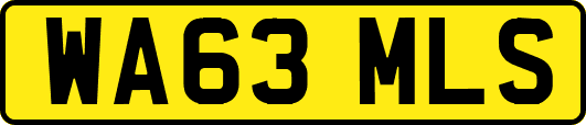 WA63MLS
