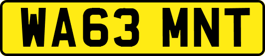WA63MNT