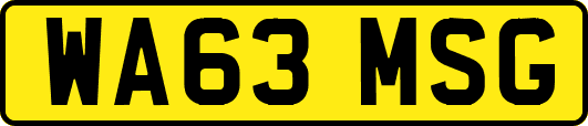 WA63MSG