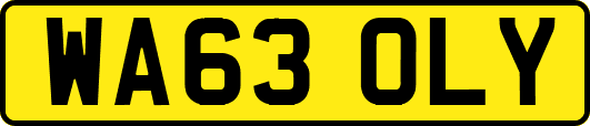 WA63OLY