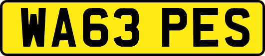 WA63PES