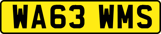 WA63WMS