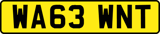 WA63WNT