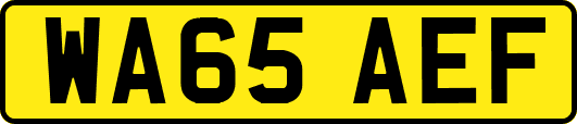 WA65AEF
