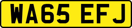 WA65EFJ