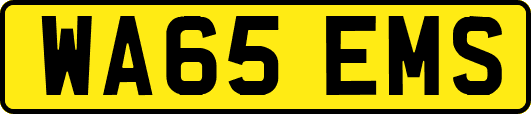 WA65EMS