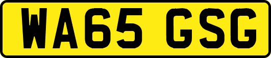 WA65GSG