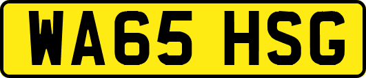 WA65HSG