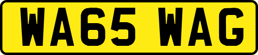 WA65WAG