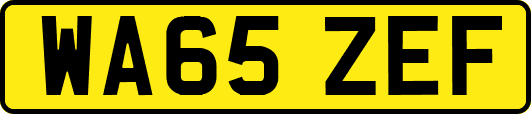 WA65ZEF