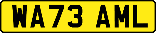 WA73AML