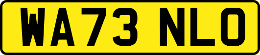 WA73NLO