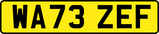 WA73ZEF