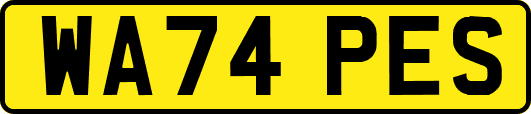 WA74PES