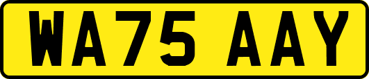 WA75AAY