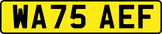 WA75AEF