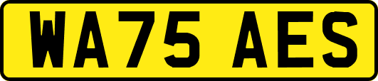 WA75AES