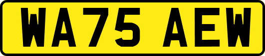 WA75AEW