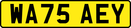 WA75AEY