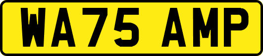 WA75AMP
