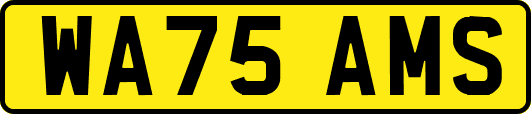 WA75AMS