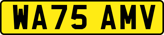 WA75AMV