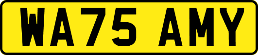 WA75AMY