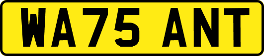 WA75ANT