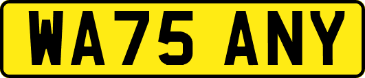 WA75ANY