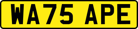 WA75APE