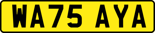 WA75AYA