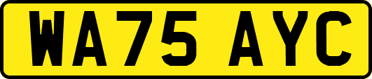 WA75AYC