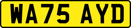 WA75AYD